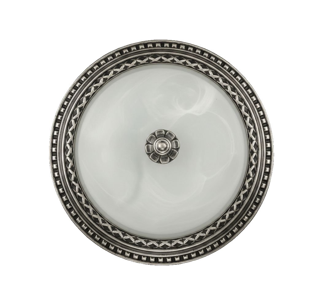 Fregiata